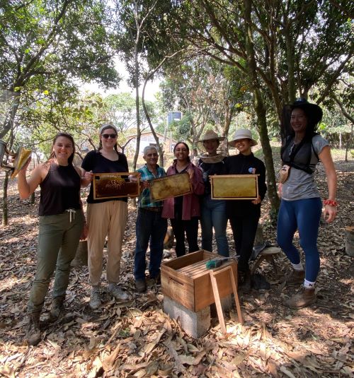 Students stand in the forest with boxes filled with honeycombs and bees.
