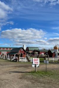 Photo of a cider mill with a red barn, dirt roads, with a blue sky and fluffy white clouds 