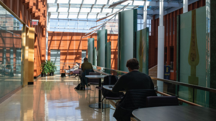 The third floor of the Ross building in the Winter Garden. Students sit at tables studying with light filtering in from the windowed ceiling overhead