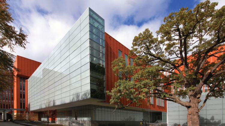 Building photo, exterior of Ross building with large tree