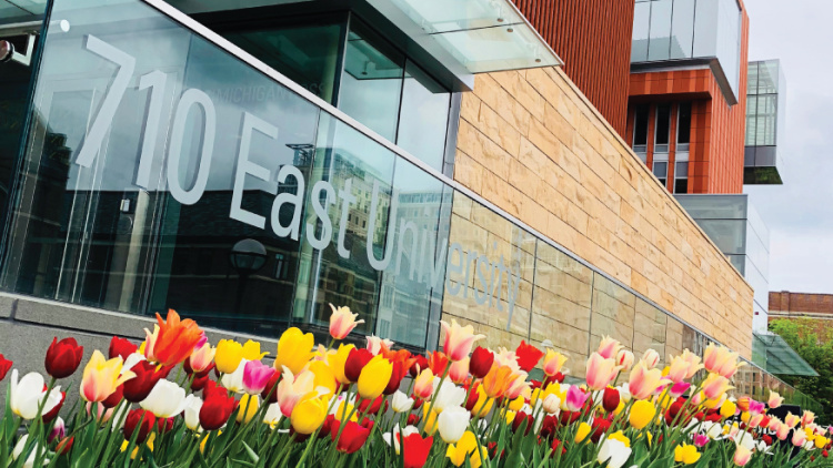 Colorful tulips bloom in front of a building with "710 East University" on the glass wall.