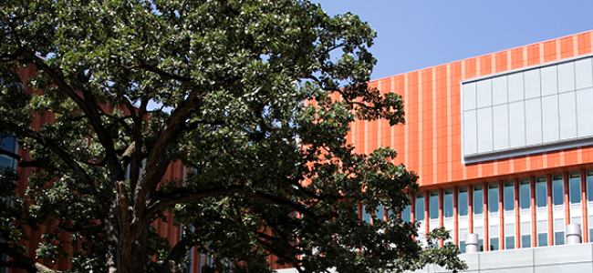 exterior of building with tree