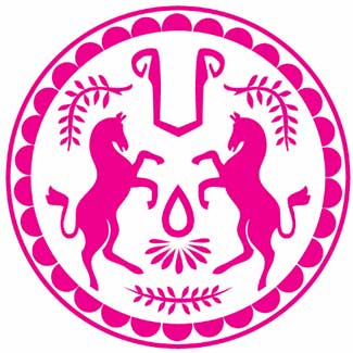 Ponyride