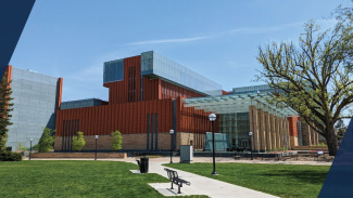 A photo of the path to the Ross building, with a large tree to the right, the building in the back, and a bench on the left.
