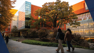 Students walking down a path outside the Michigan Ross building and the large tree in the courtyard.