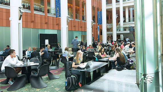 students studying in the wintergarden