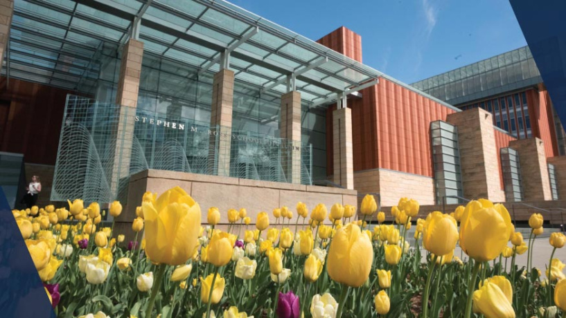 The Ross building exterior with bright yellow tulips in the foreground