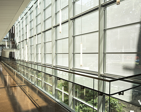 Lighting power use is reduced through the use of task lighting, efficient light fixtures, occupancy sensors, and the integration of natural daylighting.