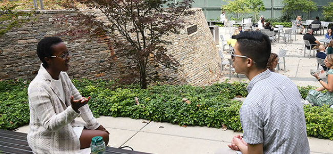 Students talking and working outside near Ross building