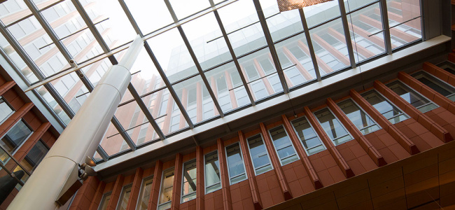 Ceiling of the winter garden