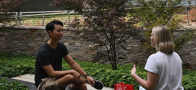 students sitting in courtyard