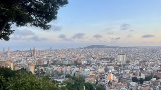 Photo overlooking the city of Barcelona Spain where there are a lot of buildings in the distance. The sky is light blue with a few clouds and there is a tree in the left hand corner.